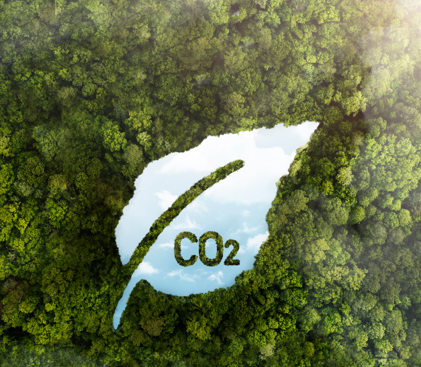 Carbon Conscious