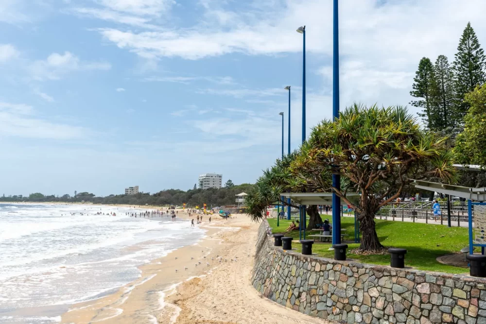 chauffeur sunshine coast